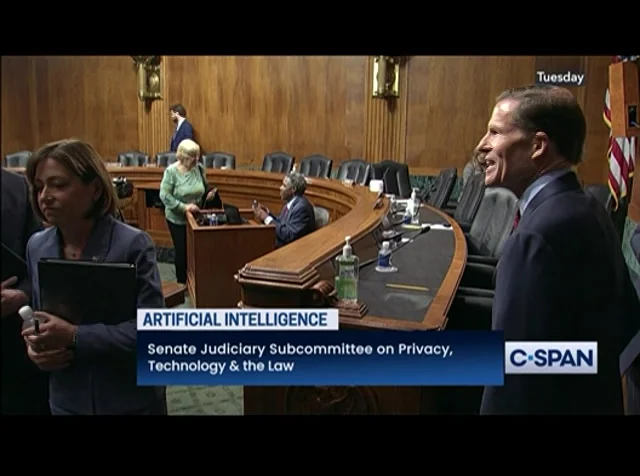 Visual for this record: A Senate subcommittee heard parents and experts on chatbot harm