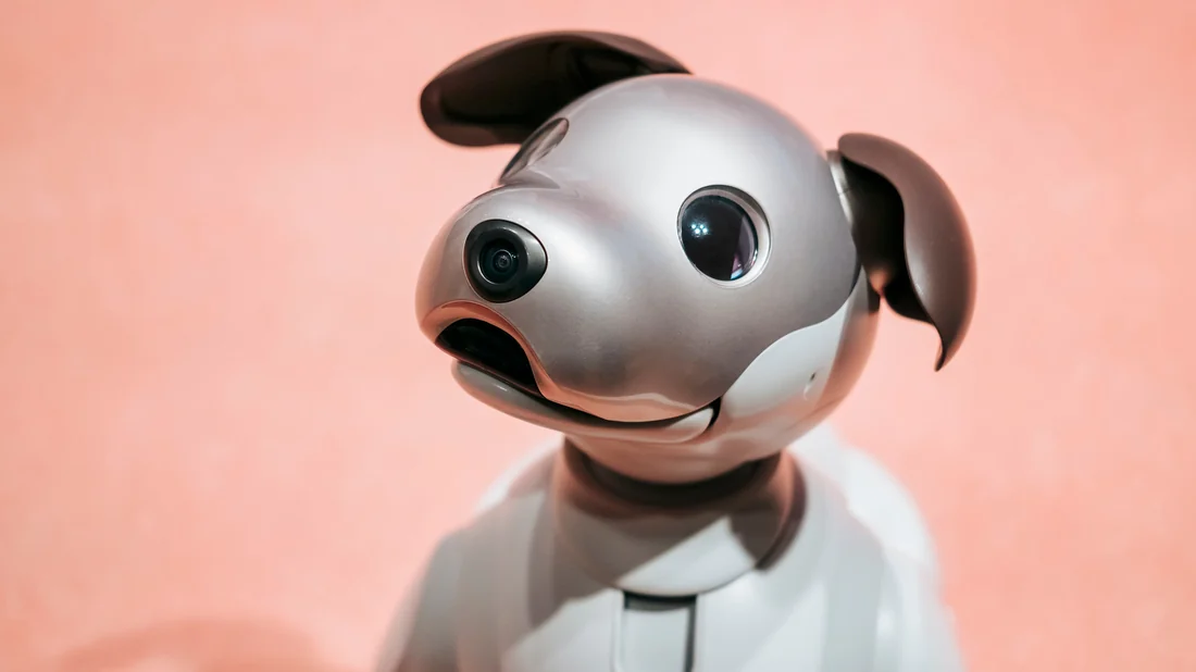 Visual for this record: Sony's aibo relaunch made ongoing ownership need a subscription