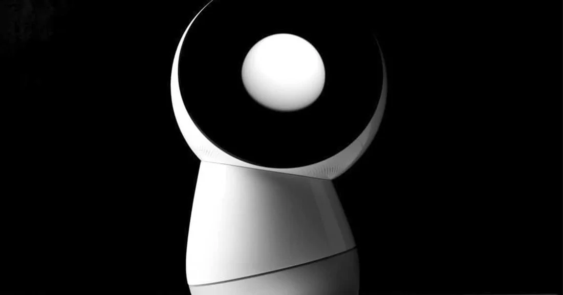 Visual for this record: A companion robot went silent when its maker closed